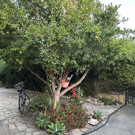 Holiday home Beautiful Maisonette In